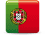 Portuguese Flag